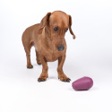 RUCAN CONIC Medium Purple - M, bardzo twarda, fioletowa zabawka na przysmaki dla psa