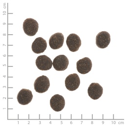 WILDES LAND DOG Kaninchen - królik z ziemniakami i ziołami (12kg)