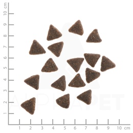 WILDES LAND DOG Pferd - konina z ziemniakami i ziołami (12kg)