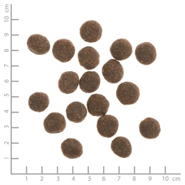 WILDES LAND DOG Forelle Lachs- pstrąg i łosoś z ziemniakami i ziołami (12kg)