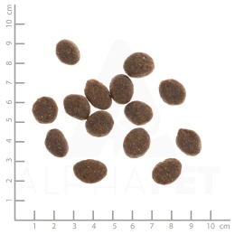 WILDES LAND DOG Lamm - jagnięcina z ryżem i ziołami (12kg)