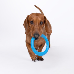 RUCAN SKY RINGS - ringo dla psa (13 cm)