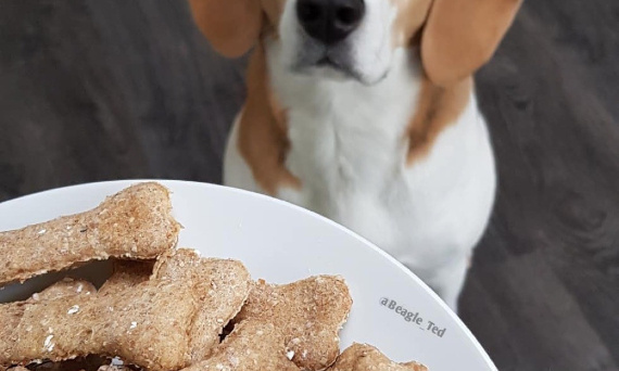 DIY - upiecz pyszne i zdrowe ciasteczka dla swojego psa